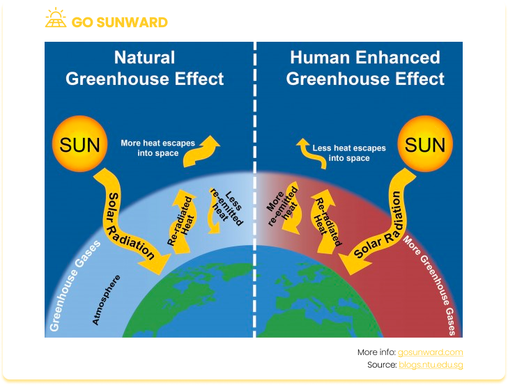 A graphic that shows the natural greenhouse effect against the human enhanced greenhouse effect and effect on global warming.