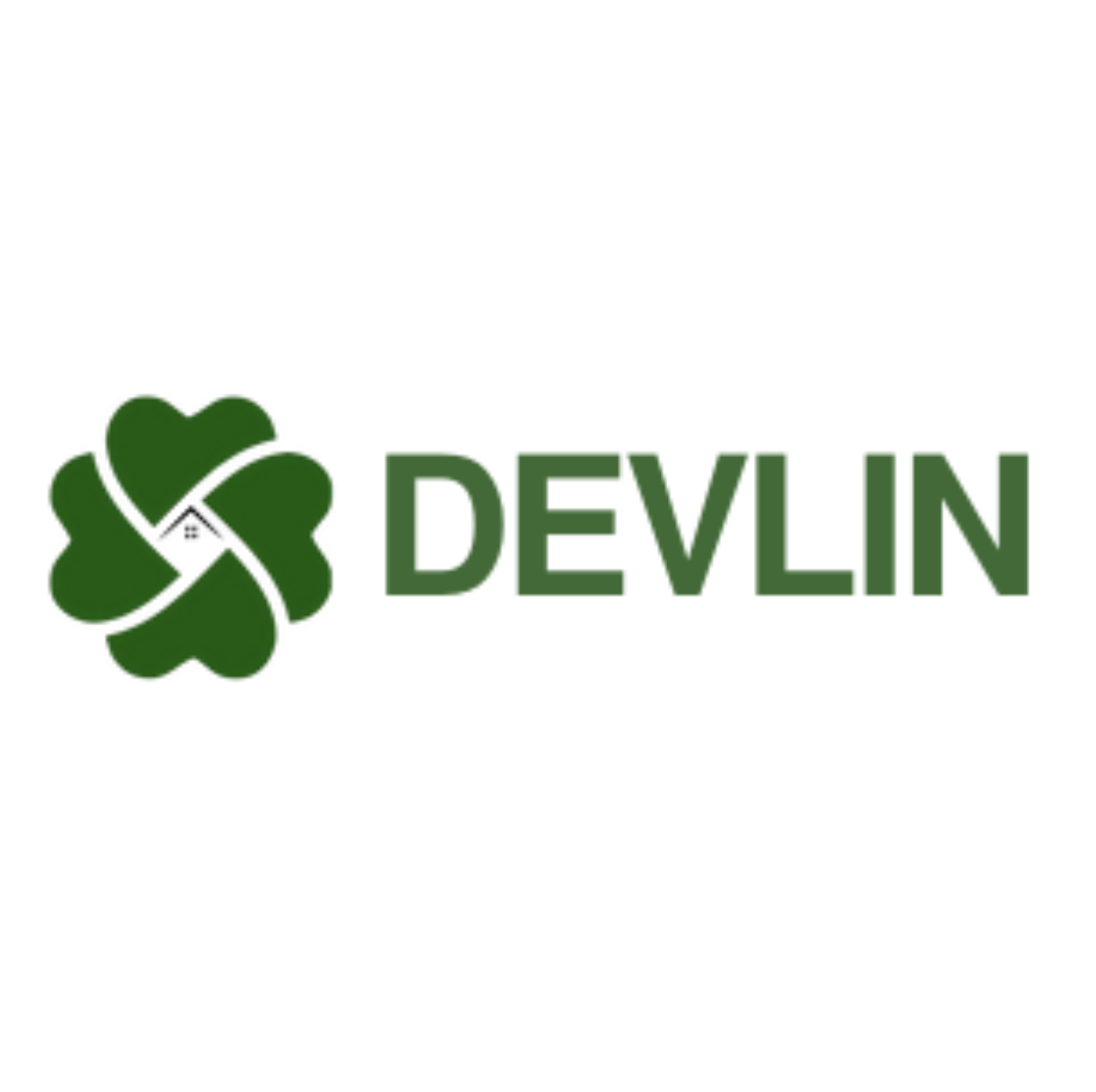Devlin Energy logo