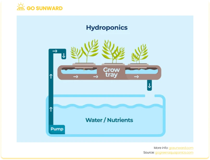 Hydroponics and solar